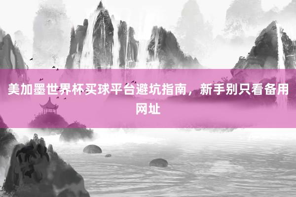 美加墨世界杯买球平台避坑指南，新手别只看备用网址
